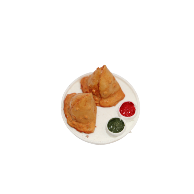 Magnet Samosa-2