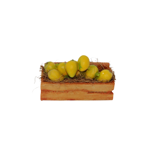 Mango Crate Fridge Magnet