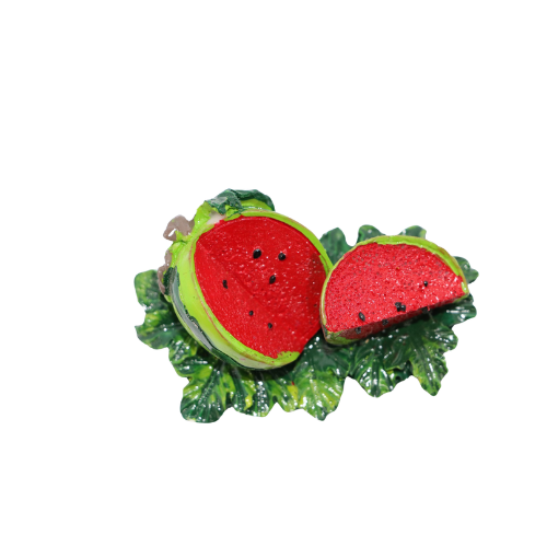 Watermelonside1 Fridge Magnet